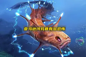 恐怖的亚马逊河，为何会被称为人类禁区？视频封面