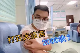 成都小哥被狗咬了，打狂犬疫苗需要2000多元，是不是被坑了？视频封面