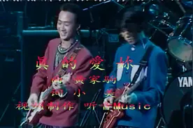 送给世上最最亲爱的人的一首歌，请准我说声《真的爱你》视频封面