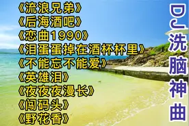 超好听DJ舞曲《恋曲1990》节奏动感入心，越听越嗨，越听越洗脑~视频封面