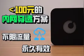无公网IP如何访问家庭网络？百元以内的内网穿透方案：蒲公英X1