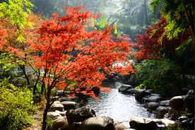 南岳山行之五——独立南郊，看湘江北去，橘子洲头~长沙南郊公园视频封面