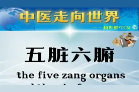 【中医走向世界】“五脏六腑”释义 | 双语教学视频封面