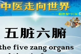 【中医走向世界】“五脏六腑”释义 | 双语教学视频封面