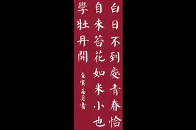 挺喜欢的一首诗励志古诗《苔》，名句：苔花如米小，也学牡丹开！视频封面