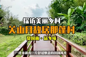 探访美丽乡村阳江那蓬村，参观关山月故居，寻味阳江特色鹅乸饭。视频封面