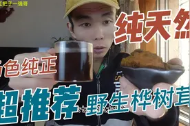桦树茸正确的饮用方法，天然纯野生的好货，好哥们喝了都说太棒了