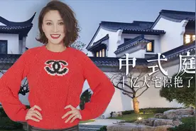 一块假山石头150万，迎客松120万，10亿豪宅桃花源能再低调点吗？视频封面