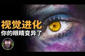 有些人的眼睛，进化出了四色视觉！他们看到的世界有何不同？