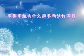 苹果手机为什么很多网站打不开