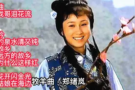 怀旧金曲：80年代电影插曲12首大联唱视频封面