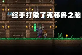 泰拉瑞亚：终于打败了克苏鲁之脑掉了好多宝贝视频封面