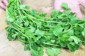香菜根别扔了，锅中煮一煮，原来功效这么大，解决了不少人的烦恼视频封面