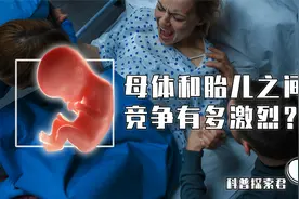 为何说胎儿是寄生体？母体和胎儿身为对头关系，两者竞争有多激烈视频封面
