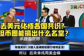 八月金砖峰会20国提加入，去美元成共识？有钱真好！沙特增现金流视频封面