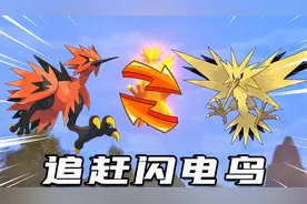 宝可梦剑盾：捕捉三圣鸟中的闪电鸟，发现它是一只跑不停的走地鸡视频封面