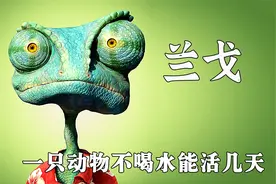 宠物蜥蜴误入沙漠，靠吹牛当上警长，打败雄鹰和毒蛇视频封面