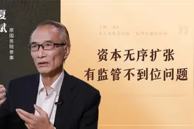 原国务院参事夏斌：资本无序扩张，有监管不到位问题视频封面