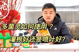多菌灵如何正确使用？是灌根好还是喷叶好？养花必懂小知识视频封面