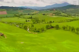 携来百侣曾游，忆往昔峥嵘岁月稠--毛润之视频封面