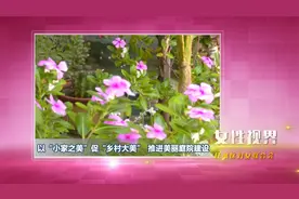 女性视界｜以“小家之美”促“乡村大美”　推进美丽庭院建设视频封面