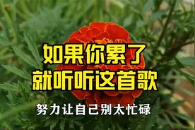 如果你累了，烦了就听听这首歌，自己的人生自己做主！