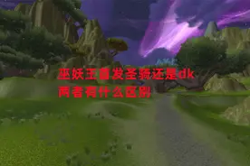 魔兽世界怀旧服：巫妖王首发圣骑还是dk，两者有什么区别视频封面