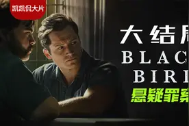 悬疑罪案剧黑鸟大结局视频封面