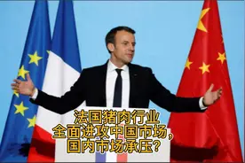 法国猪肉行业全面进攻中国市场，国内市场承压视频封面