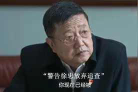 《狂飙》何黎明终极“保护伞”身份意外曝光！徐忠反被陷害！视频封面