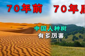 干掉千年老沙漠，面积相当于8个韩国，中国人种树有多厉害？视频封面