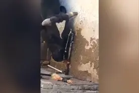 神奇！母牛用牛角开水龙头喝水 喝完还不忘关上 一顿操作看呆网友