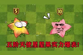五阶天使星星果实力测评，这才是金卡该有的样子！