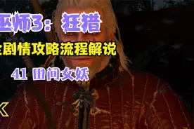 【4K】《巫师3：狂猎》全剧情攻略流程解说41 田间女妖视频封面