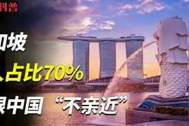 新加坡华人占70%人口，为什么和中国并不亲近？他们还有中国心吗视频封面