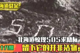 北海道惊现SOS求助标志，很多谜团无从知晓，留下它的并非活人？视频封面