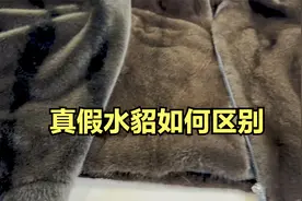 直播间只要三四百的水貂整貂是真的吗？别上当，它是人造毛视频封面