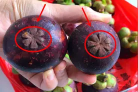 山竹头部有个“小机关”，往下一压完整打开，简单快速，不脏手