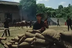 电影：特种部队血战金三角毒枭这段，堪称全剧最精彩，经典看不厌视频封面