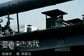 不要再来伤害我-张振宇视频封面