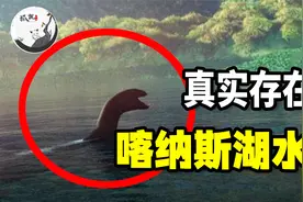 山村湖中传来阵阵怪响，渔民打捞发现10米长怪物，专家直呼不可能视频封面