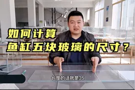 鱼缸制作教程（第二集）如何计算鱼缸的五块玻璃尺寸？视频封面