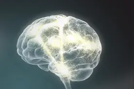 为什么有人天生就路痴，这和智商有关系吗？