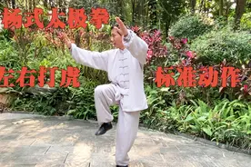 杨式太极最凶猛的拳法左右打虎，气势凶猛变化多端，你学会了吗视频封面