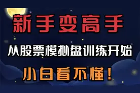 新手变高手----从股票模拟盘训练开始，小白看不懂！视频封面