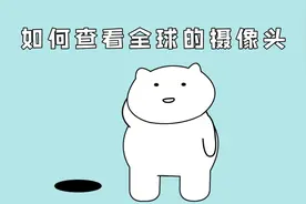 上班摸鱼，教你查看，全球实时摄像头视频封面