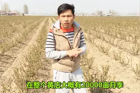 农村小伙探访“中国玫瑰第一镇”，带你看看20000亩的玫瑰产地视频封面