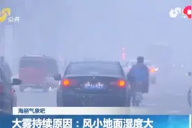 山东气象台详解本轮大雾：风小地面湿度大，还将持续至少两三天