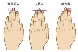 人体冷知识——为什么我们的手指长度不同