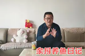 网友：孔雀鱼吃了又吐咋回事？余月：原因有三点，吃食总比不吃好视频封面